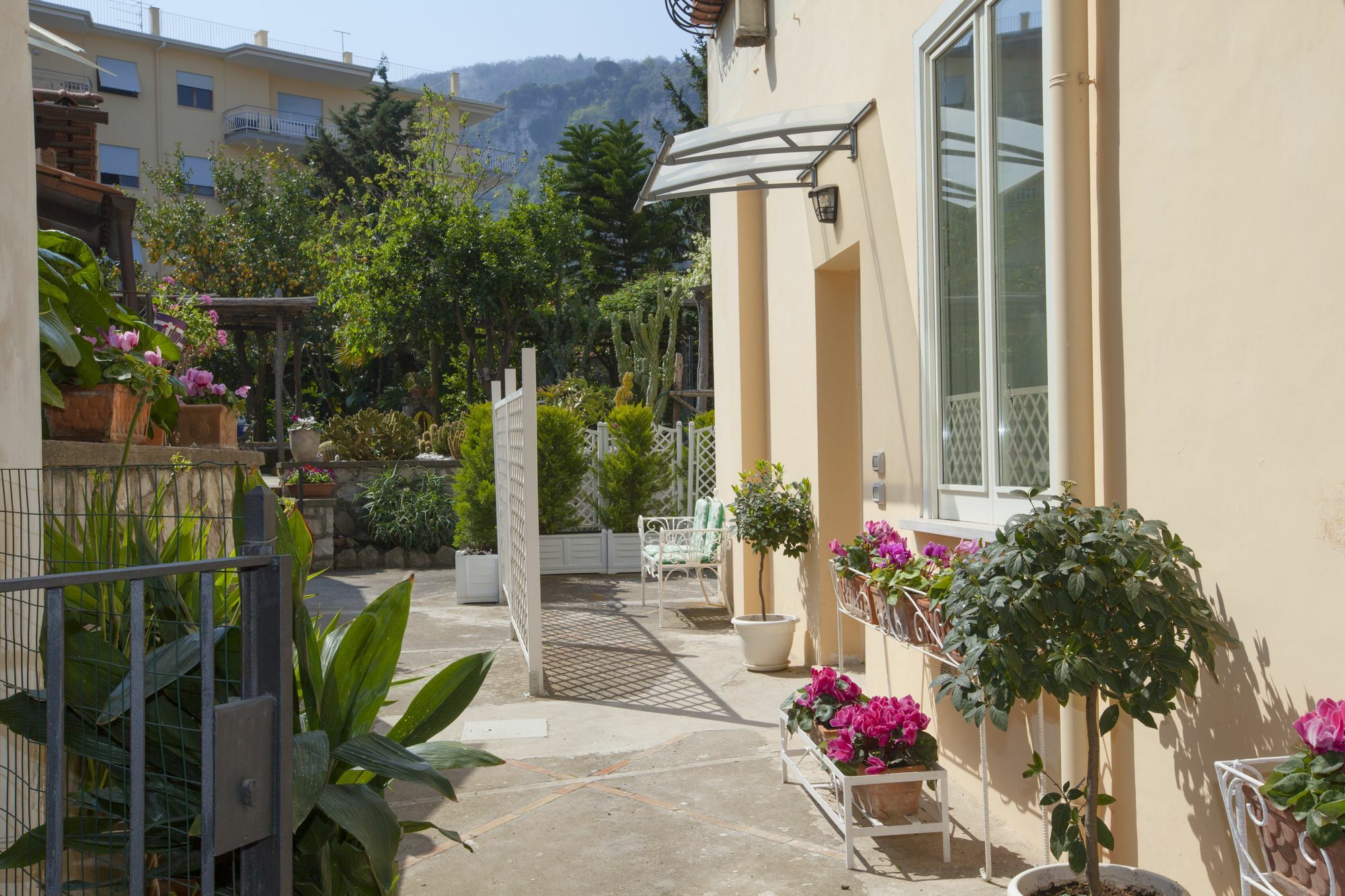 Dreaming Sorrento Suites Extérieur photo